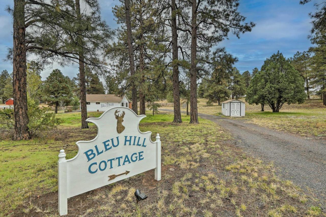 Ski Snow Bowl And Hike Cozy Flagstaff Cottage! Extérieur photo