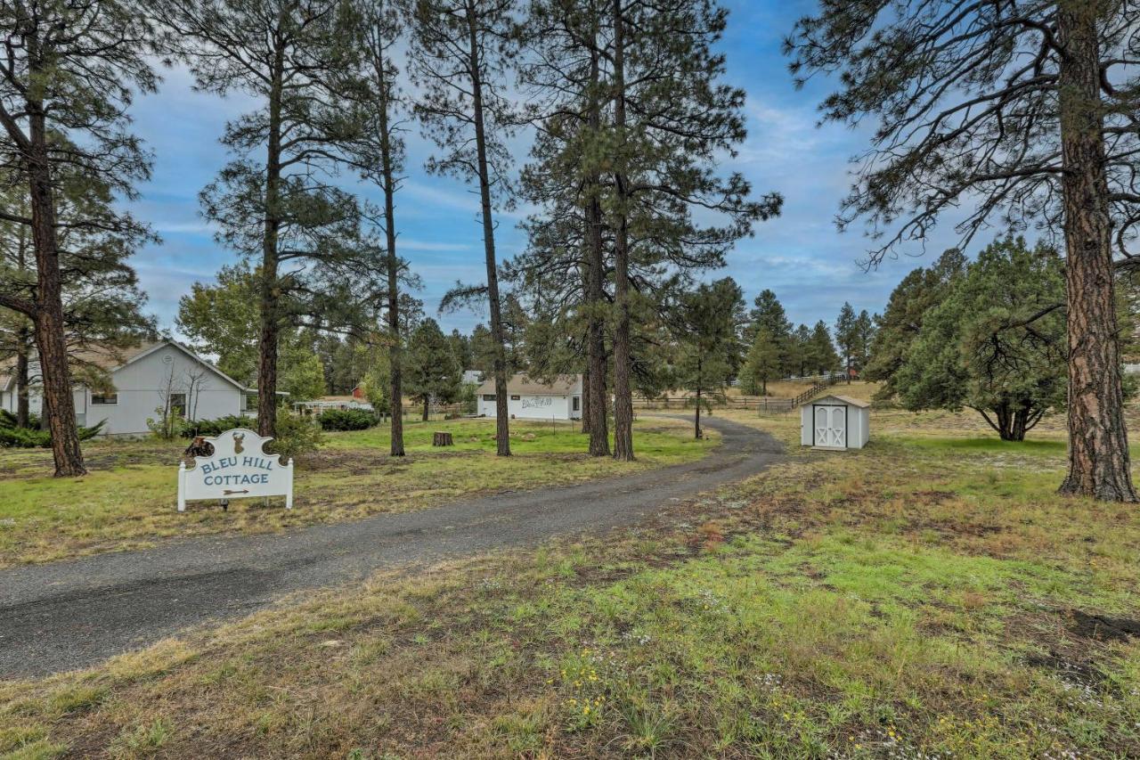 Ski Snow Bowl And Hike Cozy Flagstaff Cottage! Extérieur photo